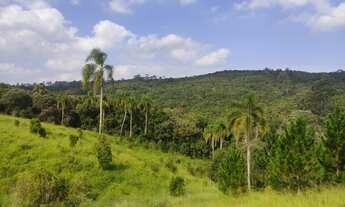 Imagem 6: Lote/Terreno para venda com 1000 metros quadrados em Ressaca - Ibiúna - SP