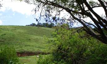 Imagem 5: Fazenda com 5 dormitórios à venda, 330000 m² por R$ 1.500.000,00 - Secretário - Petrópolis