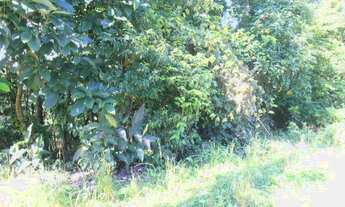 Imagem 7: Terreno para Venda em Quatro Barras, Jardim Orestes Thá