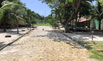 Imagem 3: Casa na Lagoa do Banana