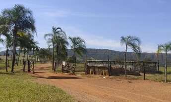 Imagem 3: Linda fazenda município Padre Bernardo