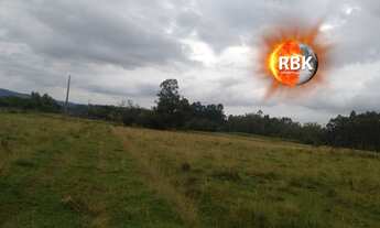 Imagem 7: Próximo a Cidade Área de Terra 3.5 hectares Zona Rural Glorinha, RS