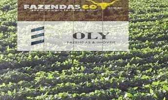 Imagem 4: Oportunidade ! Fazenda em Paraúna - 250 Alqueires