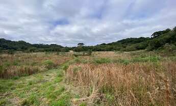 Imagem 7: Área para formar chácara com 23.000m² Almirante Tamandaré - Juruqui