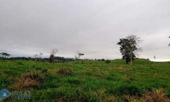 Imagem 3: Sítio 42 alqueires Jaru