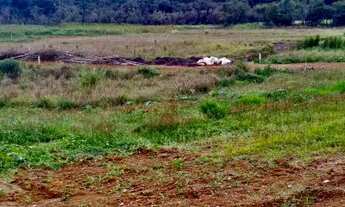 Imagem 3: Lote/Terreno para venda com 600 metros quadrados em Verava - Ibiúna - SP