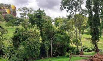 Imagem 6: Fazenda na região de Guiratinga à venda, 2341350 m² por R$ 4.500.000 - Centro - Guiratinga