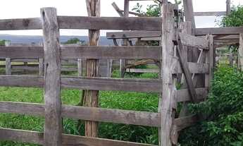 Imagem 6: EXCELENTE FAZ. MUNI. DE ROSARIO OESTE -MT