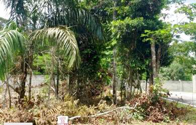 Imagem 2: Vendo Lote no Condomínio Mosaico Ponta Negra