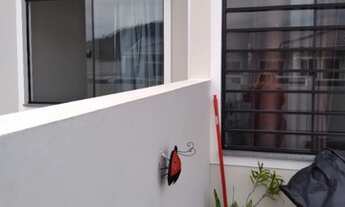 Imagem 4: Vendo Casa preço a abaixo do Mercado