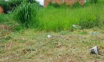 Imagem 4: Terreno à venda por R$ 53.000,00 - Lago Sul - Bady Bassitt/SP