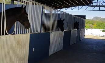 Imagem 6: HARAS MUNICIPIO DE NIQUELANDIA