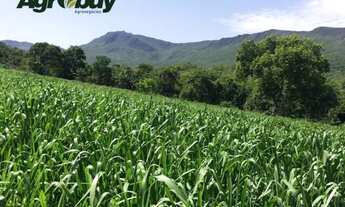 Imagem 2: Fazenda localizada no município de São Salvador TO