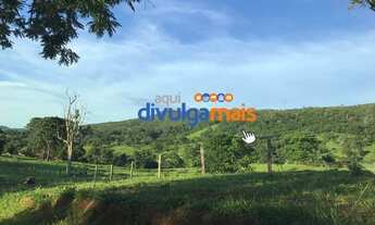 Imagem 10: Fazenda a venda de 68 alqueires para pecuária na região de Caldas Novas GO