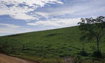 Imagem 6: Sítio com 3 dormitórios à venda, 230000 m² por R$ 1.800.000,00 - Centro - Campestrinho/SP