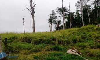 Imagem 4: Sítio 42 alqueires Jaru