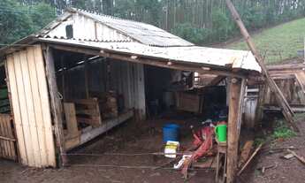 Imagem 4: Sítio de 2.6 hectares em Gramado com Vísta