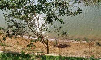 Imagem 6: Chácara com 3 dormitórios à venda, 698 m² - Riacho Grande - São Bernardo do Campo/SP