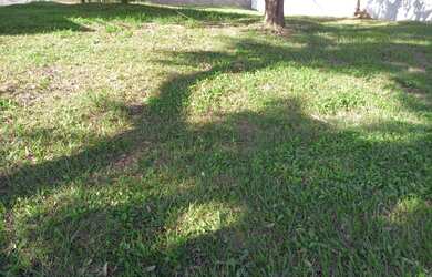 Imagem 3: Terreno comercial para venda no Alphaville Campinas 902m²