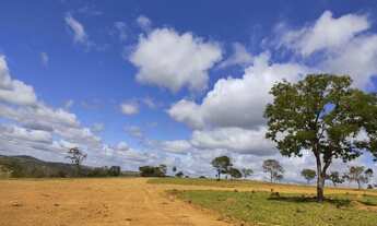 Imagem 3: Lançamento lote de 1.000m2 em condomínio as margens da mg10 (Financio