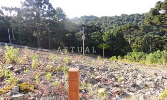 Imagem 3: GRAMADO - Terreno Padrão - Loteamento Marsal