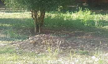 Imagem 5: Terreno Totalmente Plano e de Esquina