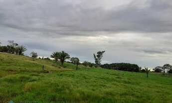 Imagem 2: Sitio 36,5 alqueires Jaru