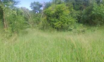 Imagem 5: Sítio 1 Alqueire Morungaba/SP/BR (Ric