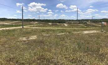 Imagem 5: Terreno à venda, 160 m² por R$ 38.000,00 - Centro - Massaranduba/PB