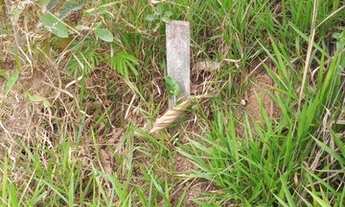 Imagem 7: Terreno à venda, 250 m² por R$ 59.000 - Jardim Alegria - Francisco Morato/São Paulo