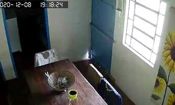 Imagem 6: Propriedade rural/ roça /chacara/ com 16.400 m2