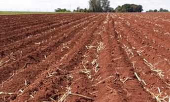 Imagem 6: Fazenda 35 Alqueires, Próximo Limeira-Sp