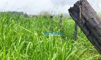 Imagem 6: Fazenda em Pacajá - PA