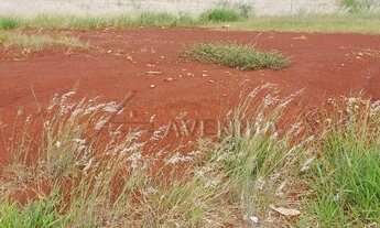 Imagem 6: LONDRINA - Terreno Padrão - Gleba Simon Frazer