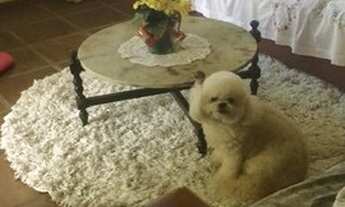 Imagem 7: Casa à venda, 120 m² por R$ 650.000,00 - Praia Grande - São Sebastião/SP