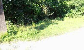 Imagem 5: Terreno para Venda em Quatro Barras, Jardim Orestes Thá