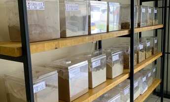 Imagem: Passo Loja de Produtos Naturais