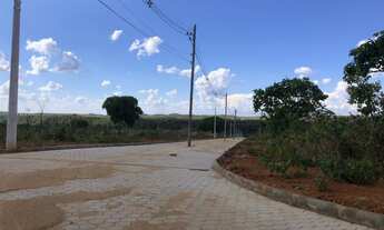 Imagem 3: Chácaras de 1000m2 plana com terra boa na região de são Jose de almeida