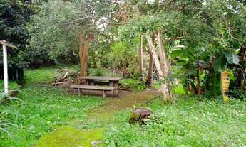 Imagem 3: Casa com quintal enorme 3000m2 com 4 quartos (1 suíte) em Vargem do Bom Jesus - Florianópo
