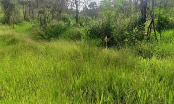 Imagem: Sítio 1 Alqueire Morungaba/SP/BR (Ric