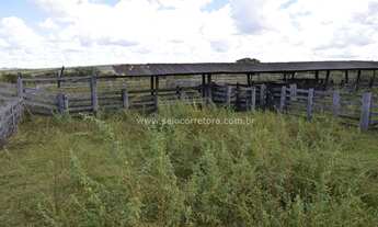 Imagem 2: EXELENTE FAZENDA NO MUNI. DE PRIMA VERA -MT