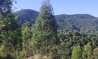 Imagem 2: Lote/Terreno para venda com 1000 metros quadrados em Santa luzia