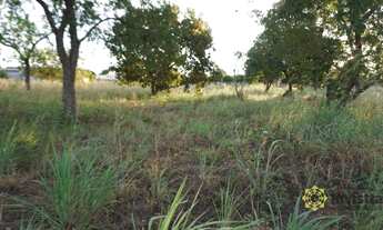 Imagem 6: Terreno à venda, 2847 m² por R$ 1.200.000,00 - Plano Diretor Sul - Palmas/TO