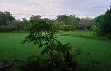 Imagem 5: Aldeia Chácara com 5.000m² de puro verde