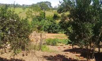 Imagem 7: Chácara à venda no Setor Continental em Aparecida de Goiânia com 02 casas em um terreno de