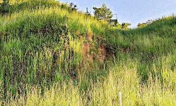 Imagem 3: Terreno vitoria regia