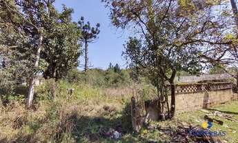 Imagem 3: Terreno à venda, 2508 m² por R$ 698.000,00 - São Gabriel - Colombo/PR