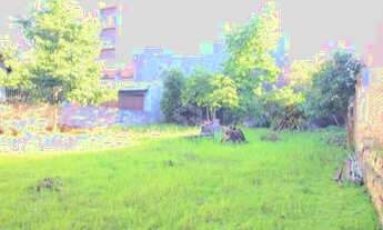 Imagem 4: NOVO HAMBURGO - Terreno Padrão - Ideal