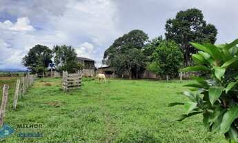 Imagem 2: Fazenda 150 alqueires Região de Ariquemes