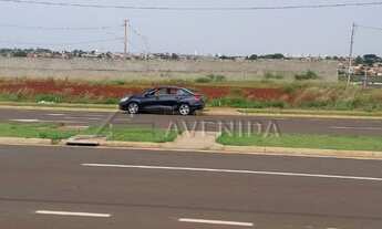 Imagem 2: LONDRINA - Terreno Padrão - Gleba Simon Frazer